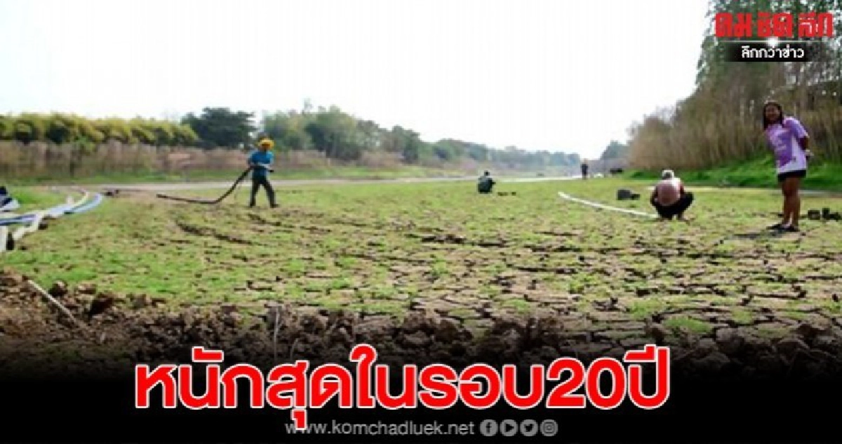 ชาวนาบ่นท้อปีนี้แล้งเร็วและหนักสุดในรอบ20ปี ชาวนาบ่นท้อปีนี้แล้งเร็วและหนักสุดในรอบ20ปี