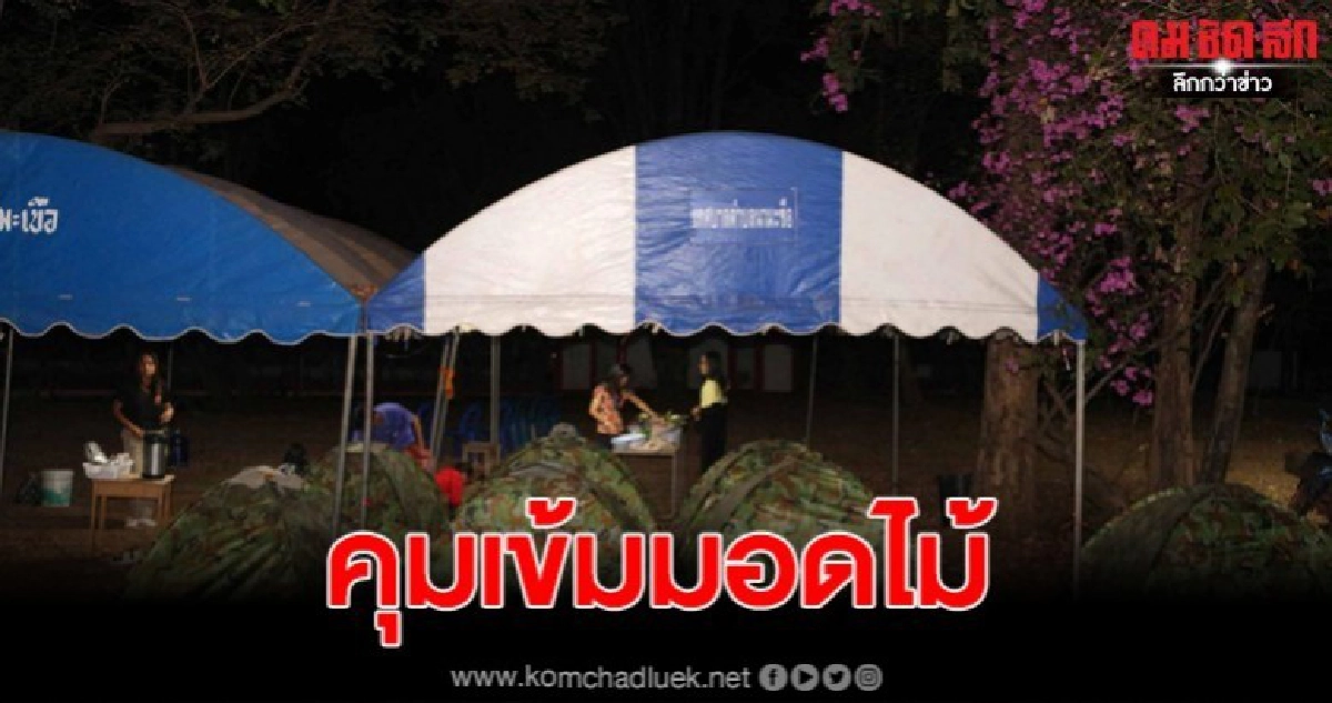 ผู้สูงอายุตั้งแค้มป์สู้ แก๊งมอดไม้ หวั่นพะยูงโดนถอนหมด ผู้สูงอายุตั้งแค้มป์สู้ แก๊งมอดไม้ หวั่นพะยูงโดนถอนหมด