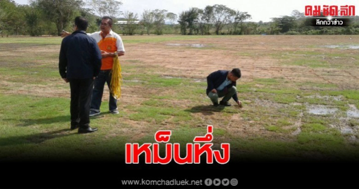 เหม็นหึ่ง โครงการสร้างสนามฟุตบอลเทศบาลตำบลคลองปาง เหม็นหึ่ง โครงการสร้างสนามฟุตบอลเทศบาลตำบลคลองปาง