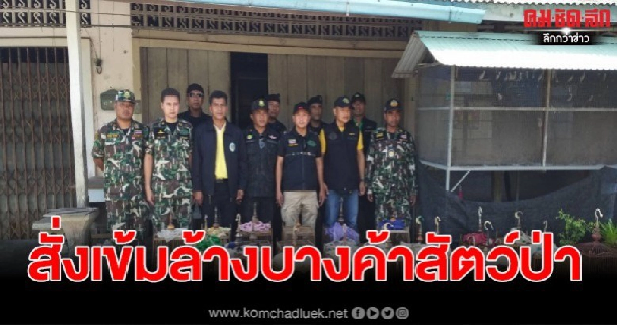 อธิบดีธัญญาเข้ม ส่งหน่วยพญาเสือลุยล้างบาง ขบวนการค้าสัตว์ป่า อธิบดีธัญญาเข้ม ส่งหน่วยพญาเสือลุยล้างบาง ขบวนการค้าสัตว์ป่า