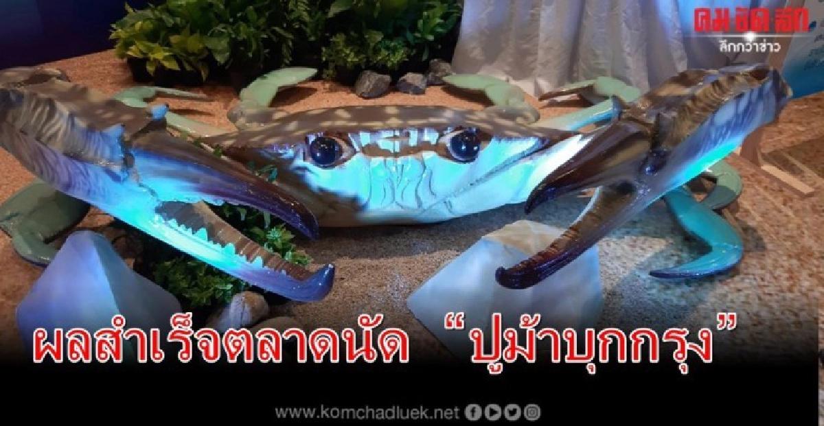 เครือข่ายปลื้มตลาดนัด"ปูม้าบุกกรุง"ที่ไอคอนสยาม เครือข่ายปลื้มตลาดนัด"ปูม้าบุกกรุง"ที่ไอคอนสยาม