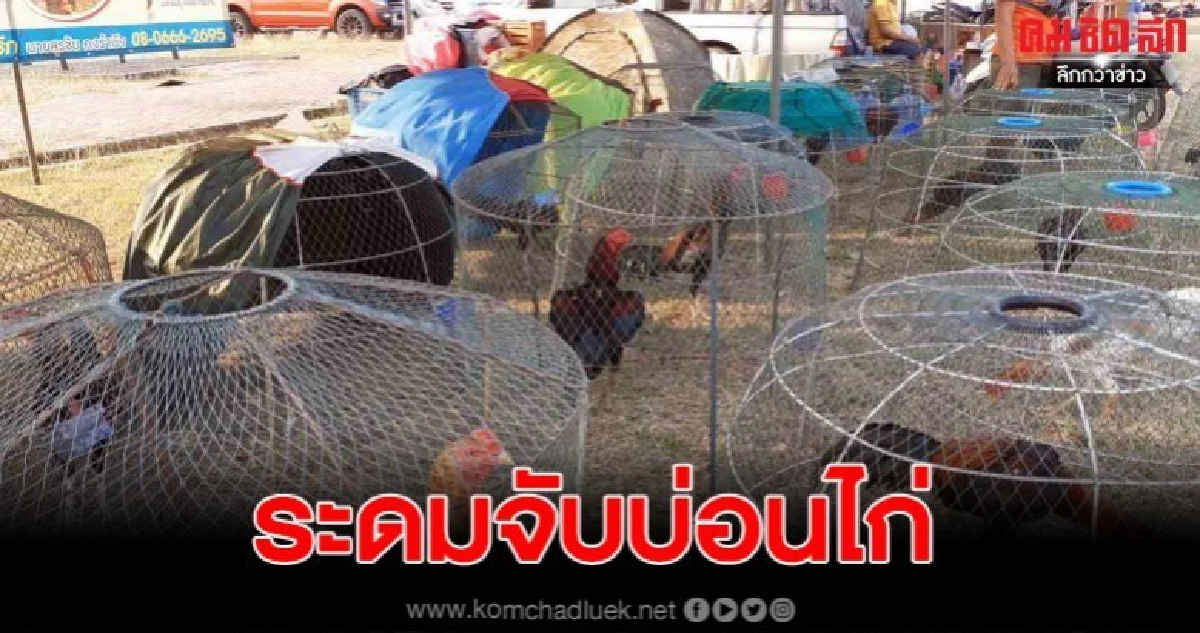 ระดมจนท.จับบ่อนไก่ ในงานสมโภชวันยุทธหัตถีสมเด็จพระนเรศวรฯ