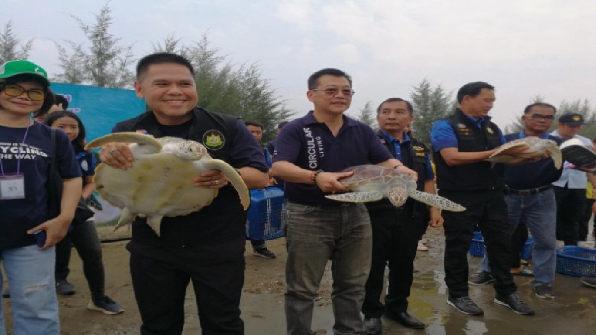 รมว.ทส.นำมวลชนร่วมอนุรักษ์และฟื้นฟูป่าชายเลนระยอง รมว.ทส.นำมวลชนร่วมอนุรักษ์และฟื้นฟูป่าชายเลนระยอง