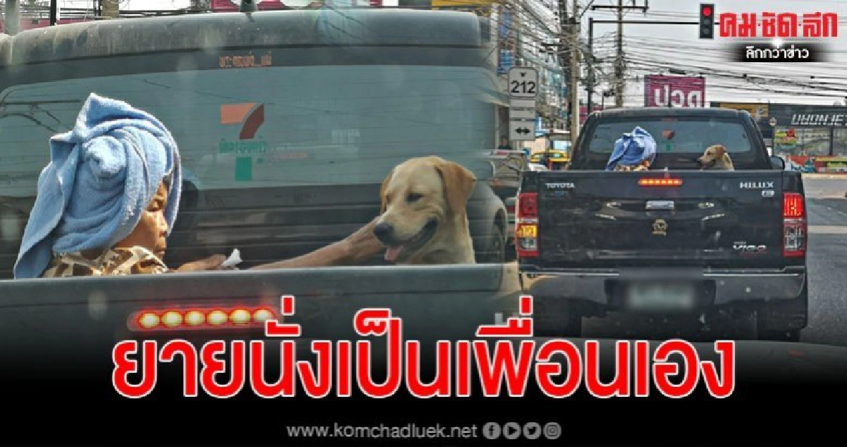 คุณยายนั่งหลังกระบะพาน้องหมาไปหาหมอ คุณยายนั่งหลังกระบะพาน้องหมาไปหาหมอ