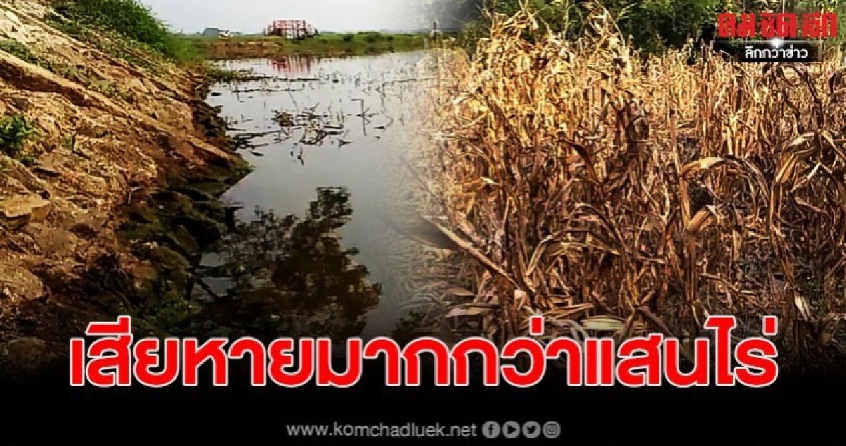 พะเยาวิกฤตหนักภัยแล้ง กระทบหนักพื้นที่การเกษตร