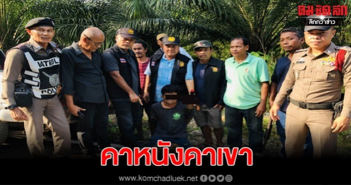 ปิดล้อมจับคนร้ายขโมยปาล์มในสวนชาวบ้านรวบคาหนังคาเขา ปิดล้อมจับคนร้ายขโมยปาล์มในสวนชาวบ้านรวบคาหนังคาเขา