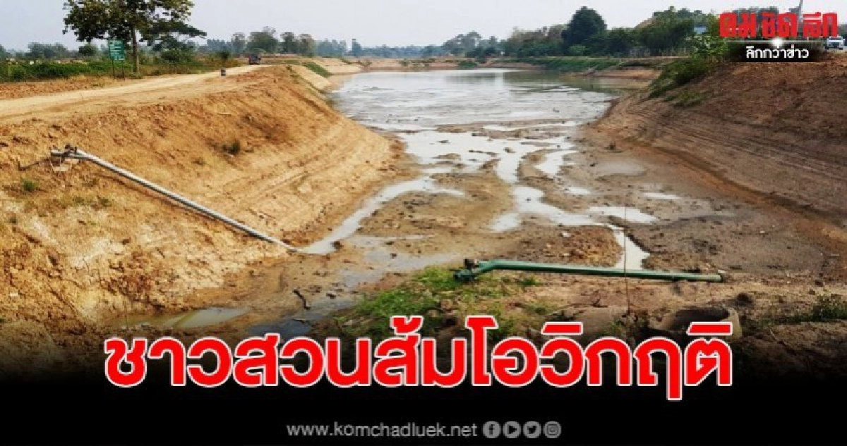 ชาวสวนส้มโอ ต้องต่อน้ำ 3 ทอด หวั่นพืชเศรษฐกิจแห้งเหี่ยว