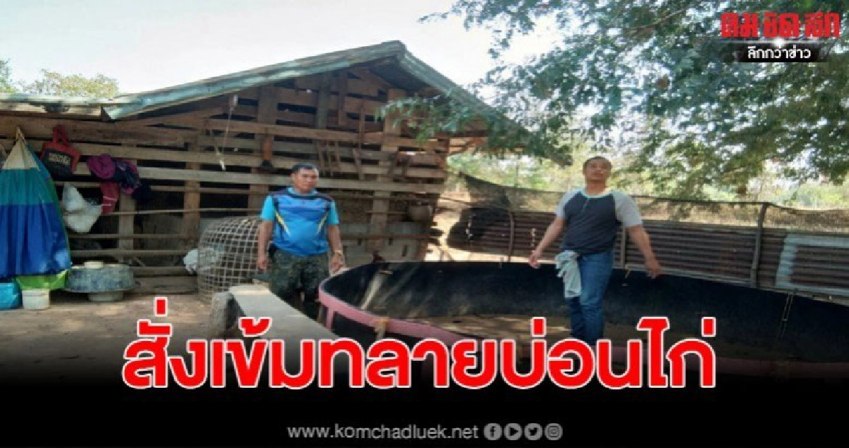 จนท.บุกทลายบ่อนไก่เถื่อน พบแต่ความว่างเปล่า