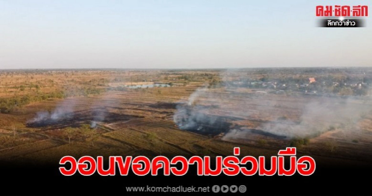 ผู้ว่าฯโคราชวอนเกษตรกรงดการเผา หลังค่า pm2.5 ยังพุ่งสูง ผู้ว่าฯโคราชวอนเกษตรกรงดการเผา หลังค่า pm2.5 ยังพุ่งสูง