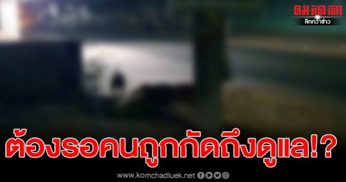 พิทบูลออกขย้ำรายที่ 3 ชาวบ้านหวั่นอันตรายต่อเด็ก พิทบูลออกขย้ำรายที่ 3 ชาวบ้านหวั่นอันตรายต่อเด็ก