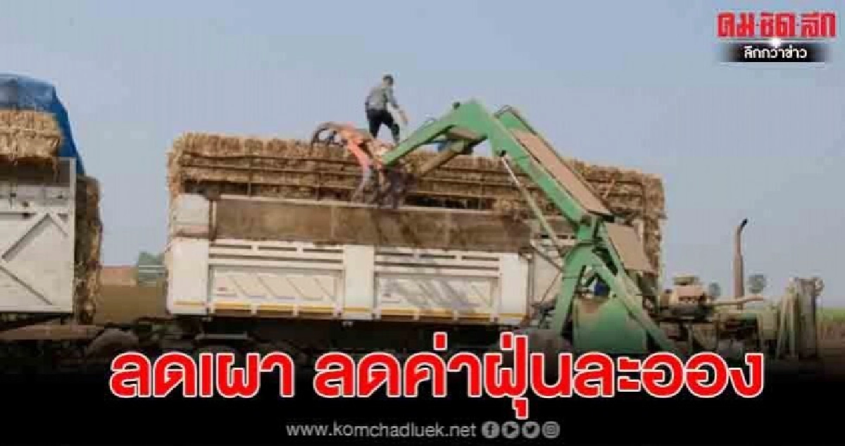 รับซื้ออัดใบอ้อยขายโรงงานไฟฟ้าสร้างรายได้ลดเผาลดค่าฝุ่นละออง รับซื้ออัดใบอ้อยขายโรงงานไฟฟ้าสร้างรายได้ลดเผาลดค่าฝุ่นละออง