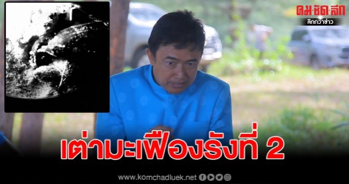 เต่ามะเฟืองรังที่ 2 ออกจากไข่คาดช่วงดึกคืนนี้จะคลานลงสู่ทะเล เต่ามะเฟืองรังที่ 2 ออกจากไข่คาดช่วงดึกคืนนี้จะคลานลงสู่ทะเล