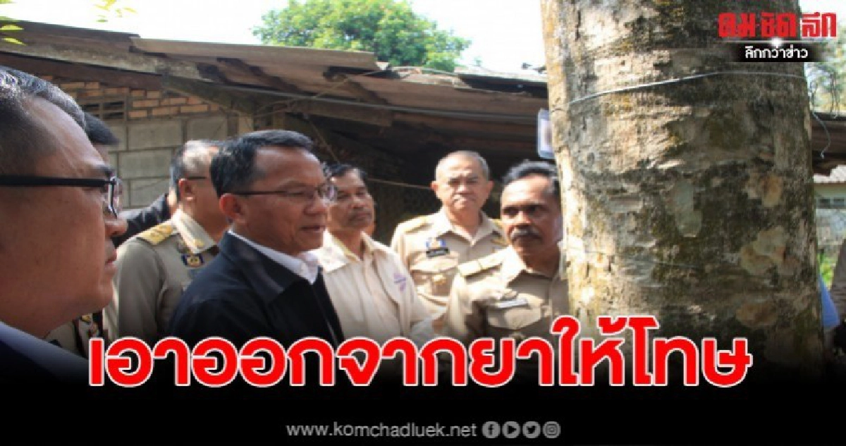 รมว.ยุติธรรม ลั่น จะผลักดันพืชกระท่อมออกยาเสพติดให้โทษ รมว.ยุติธรรม ลั่น จะผลักดันพืชกระท่อมออกยาเสพติดให้โทษ
