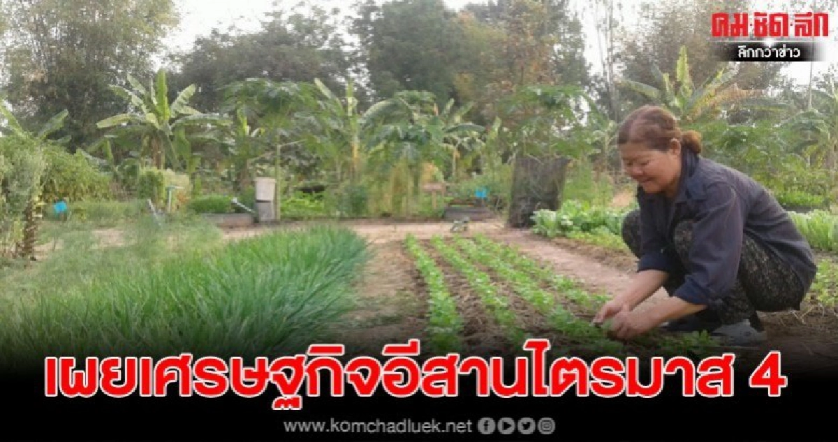 อีสานโพลเผยเศรษฐกิจอีสานไตรมาส 4 เดี้ยง