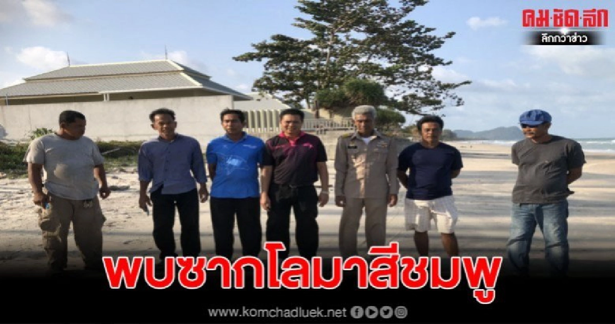 พบซากโลมาสีชมพูลอยเกยชายหาดขนอมเมืองคอน พบซากโลมาสีชมพูลอยเกยชายหาดขนอมเมืองคอน