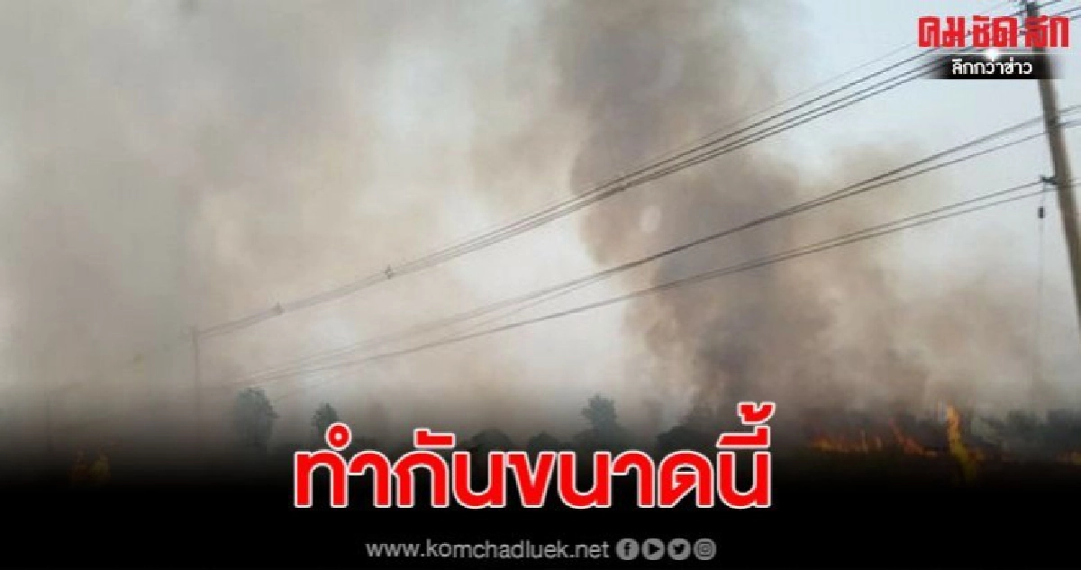 ชาวบ้านตัดพ้อหลังมีคนเผาป่าอ้อย จนเกิดควันลอยเต็มฟ้า ชาวบ้านตัดพ้อหลังมีคนเผาป่าอ้อย จนเกิดควันลอยเต็มฟ้า