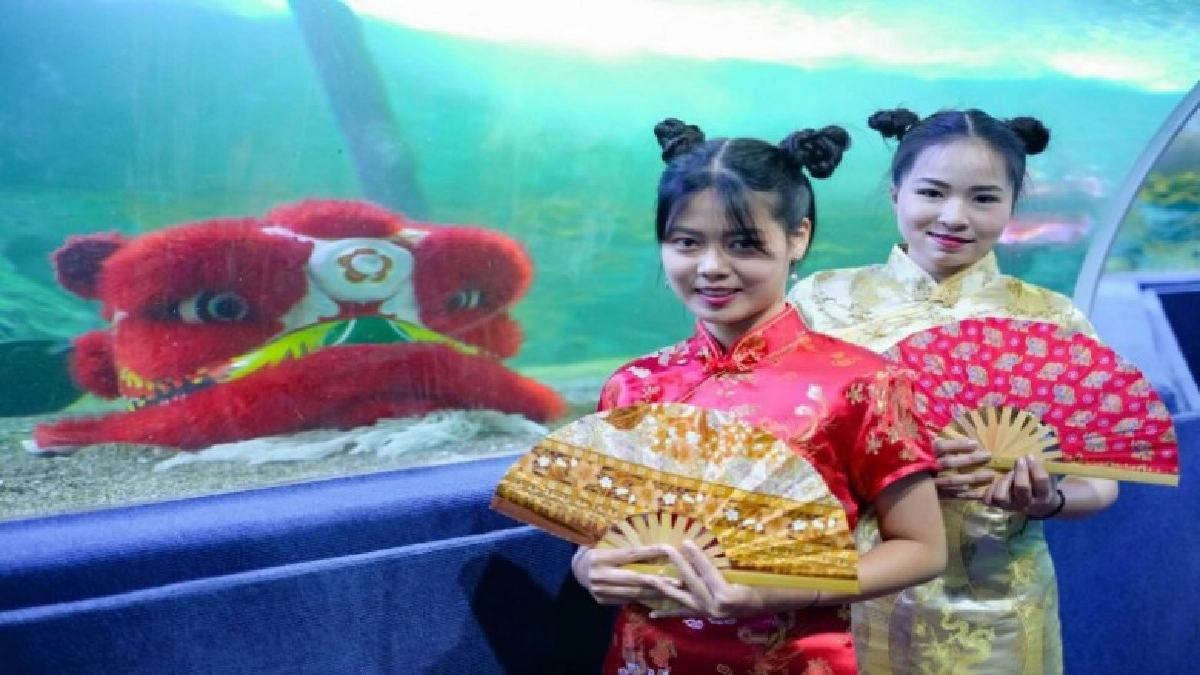 ฉลองเทศกาลตรุษจีน ปี 2563  ที่เชียงใหม่ ซู อควาเรียม