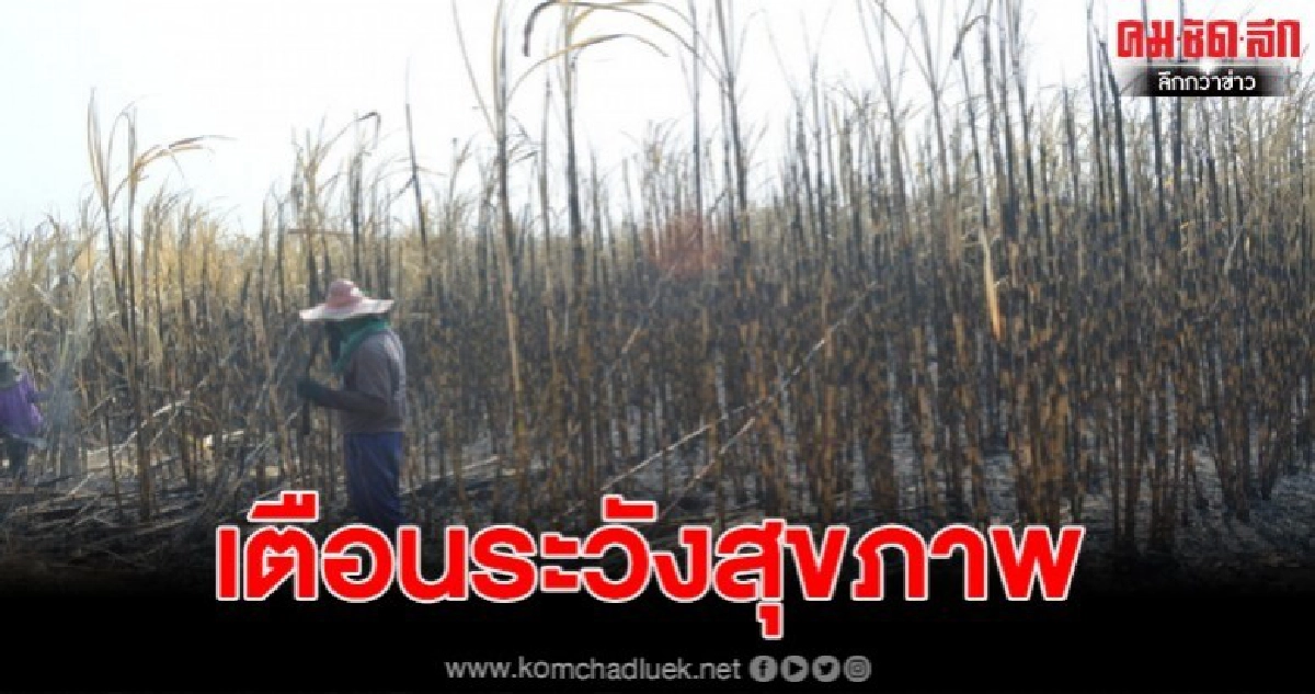 สสจ.เลย เตือนระวังสุขภาพ ค่า PM 2.5 อยู่ในเกณฑ์สีส้ม สสจ.เลย เตือนระวังสุขภาพ ค่า PM 2.5 อยู่ในเกณฑ์สีส้ม