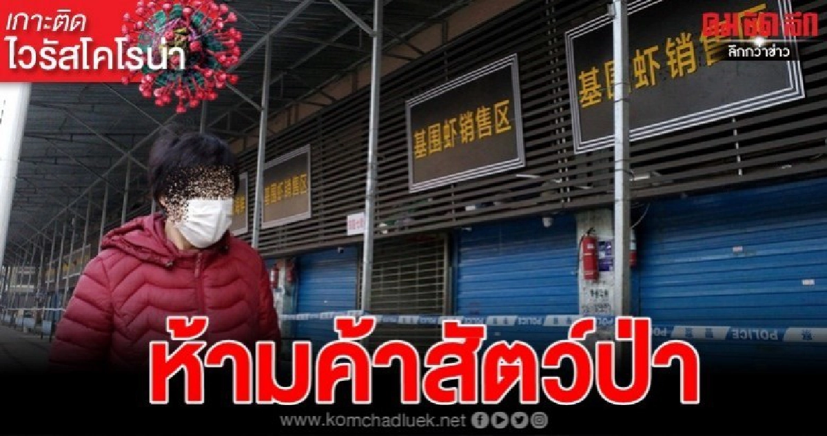 สกัดไวรัสโคโรน่า จีนสั่งห้ามค้า-กักกันสัตว์ป่าทั่วประเทศ