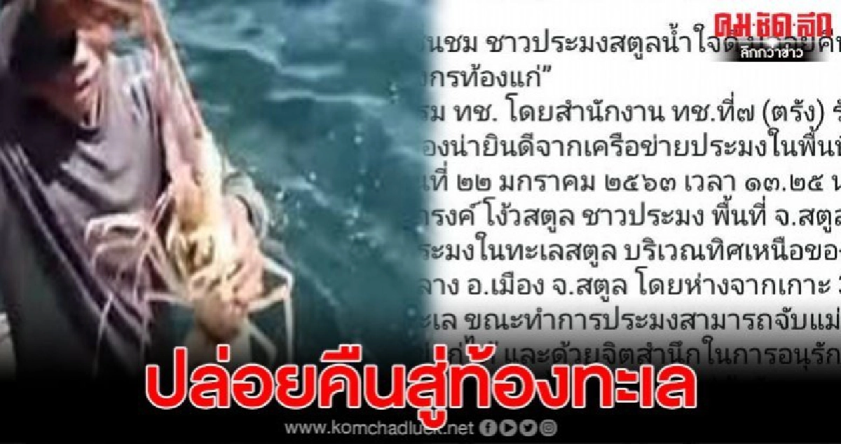 แห่ชื่มชมชาวประมงสตูล จับกุ้งมังกรท้องแก่ได้ ปล่อยคืนสู่ทะเล