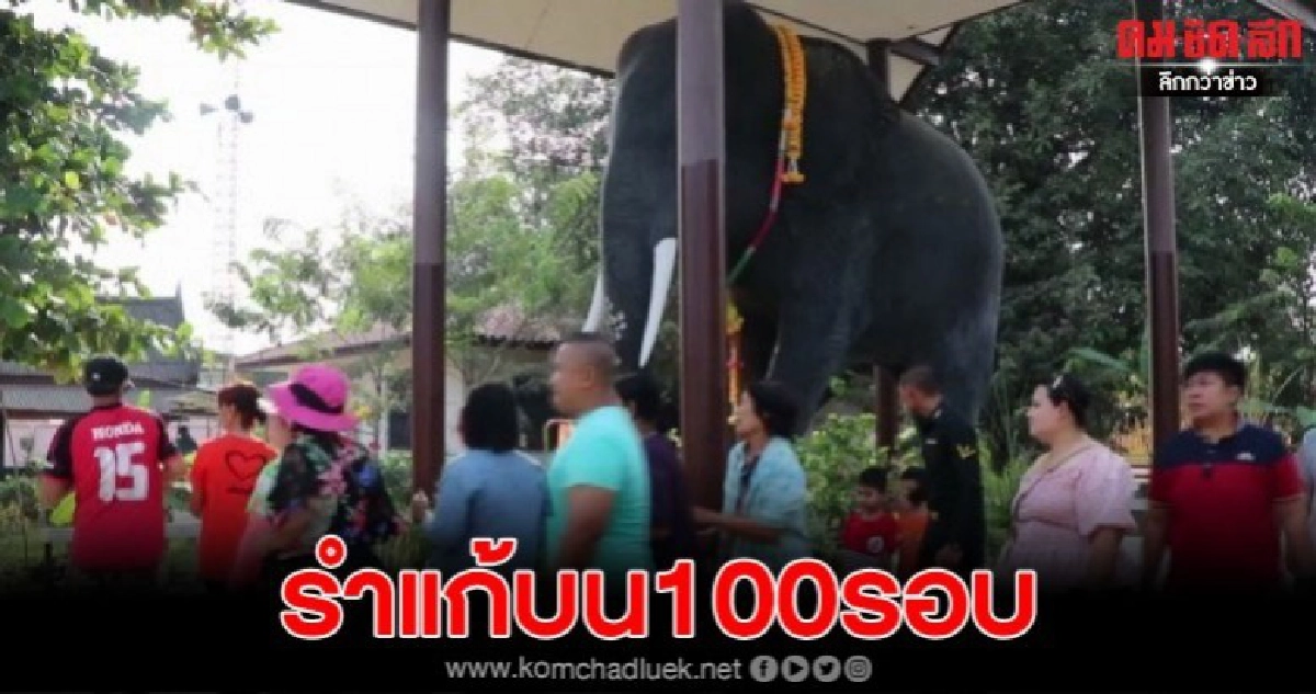 ฮือฮาแก้บนรำวง100รอบเจ้าพ่อคชสีห์ช้างในตำนานวัดจันทราราม ฮือฮาแก้บนรำวง100รอบเจ้าพ่อคชสีห์ช้างในตำนานวัดจันทราราม