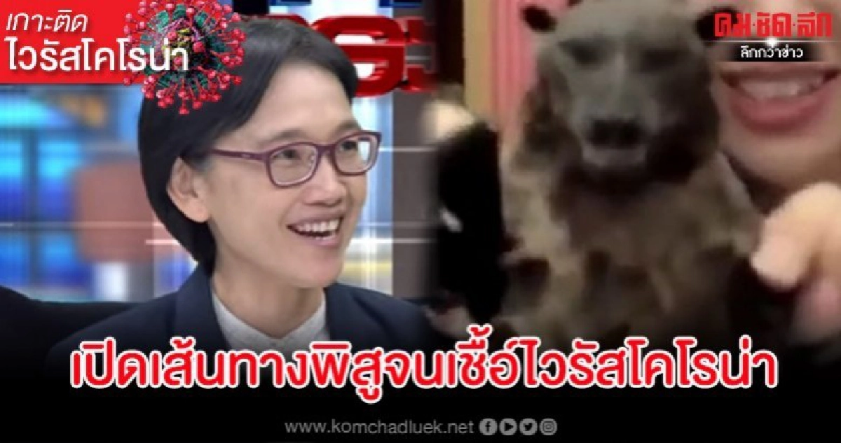 นักวิจัยชี้ค้างคาวคือพาหะไวรัสโคโรน่า เตือนอย่าจับซากค้างคาว