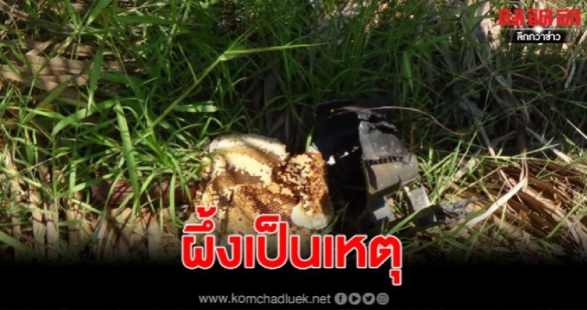 2 หนุ่มสุดซวย สุมไฟติดกองขยะ หวังไล่ผึ้ง ถูกไฟดูดเสียชีวิต 1 2 หนุ่มสุดซวย สุมไฟติดกองขยะ หวังไล่ผึ้ง ถูกไฟดูดเสียชีวิต 1