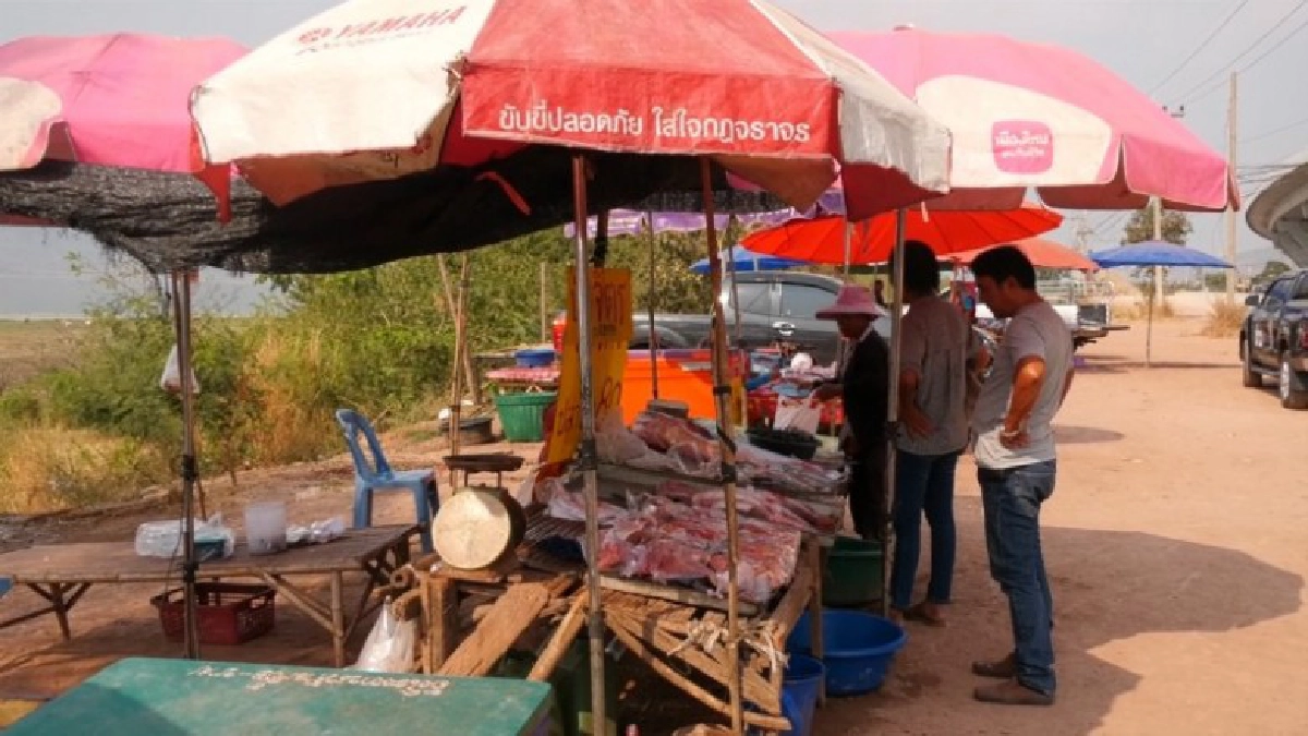 ชาวประมงริมเขื่อนลำตะคองจับปลาขาย สร้างรายได้เลี้ยงครอบครัว ชาวประมงริมเขื่อนลำตะคองจับปลาขาย สร้างรายได้เลี้ยงครอบครัว