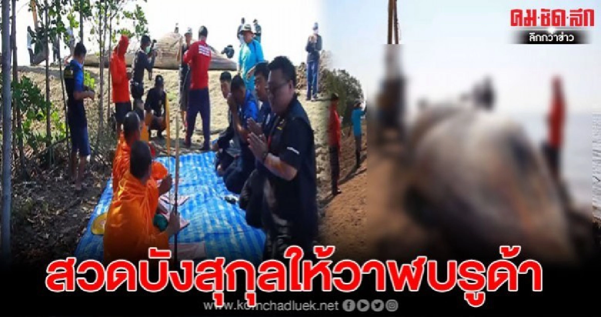 ชาวบ้านนิมนต์พระสวดบังสุกุลซากวาฬบรูด้า ชาวบ้านนิมนต์พระสวดบังสุกุลซากวาฬบรูด้า
