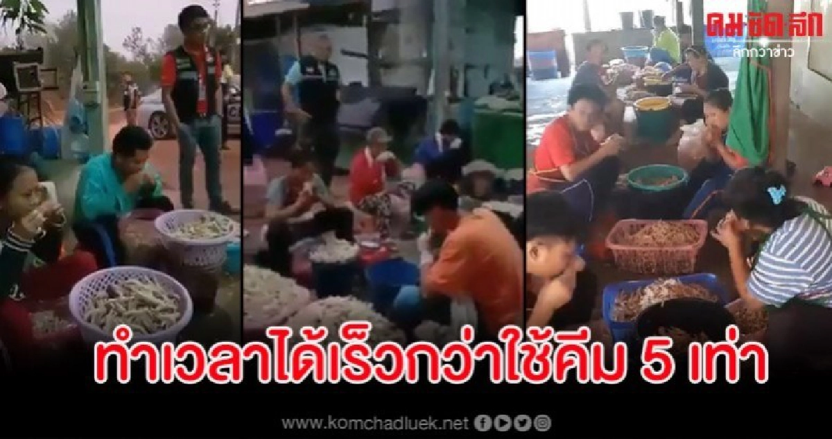 สั่งปิดโรงงานแล้ว เจ้าของรับใช้ปากแทะตีนไก่ทำเวลาได้ดีกว่า สั่งปิดโรงงานแล้ว เจ้าของรับใช้ปากแทะตีนไก่ทำเวลาได้ดีกว่า