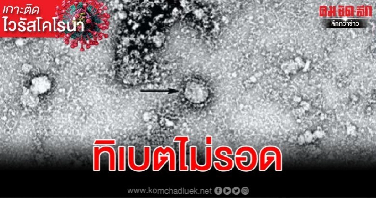 ทิเบตประกาศปิดสถานที่ท่องเที่ยวทุกแห่งอย่างไม่มีกำหนด ทิเบตประกาศปิดสถานที่ท่องเที่ยวทุกแห่งอย่างไม่มีกำหนด