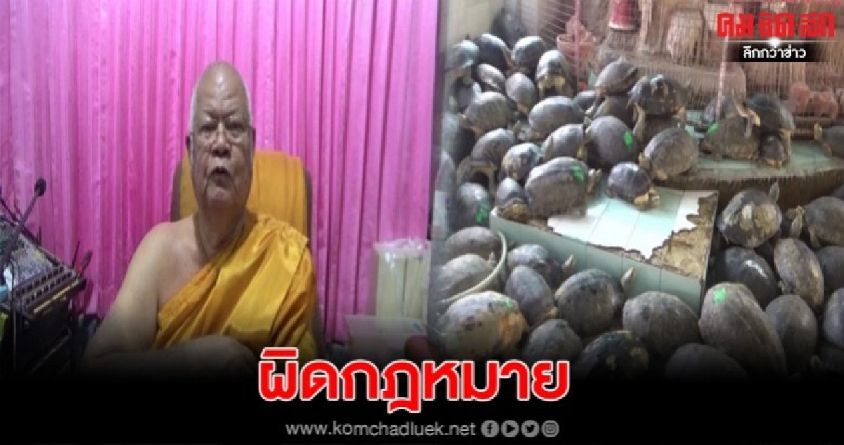 เจ้าอาวาสแจงเรื่องเต่า หลังมีผู้ร้องเรียนว่าผิดกฎหมาย