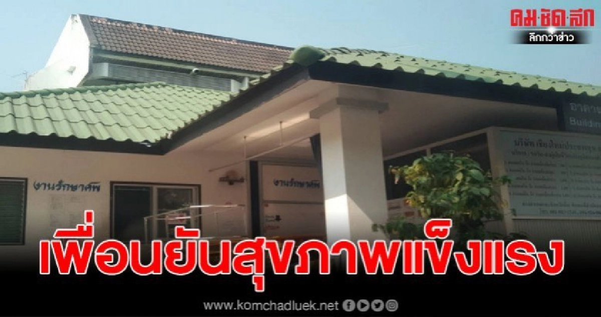 นทท.ชาวจีนเสียชีวิตในห้องพัก เพื่อนเชื่อเพราะดื่มเหล้าหนัก นทท.ชาวจีนเสียชีวิตในห้องพัก เพื่อนเชื่อเพราะดื่มเหล้าหนัก