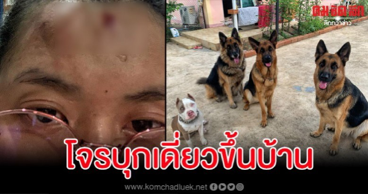 สาวเล่านาทีระทึก โจรบุกขึ้นบ้านแต่ได้น้องหมามาช่วยเอาไว้
