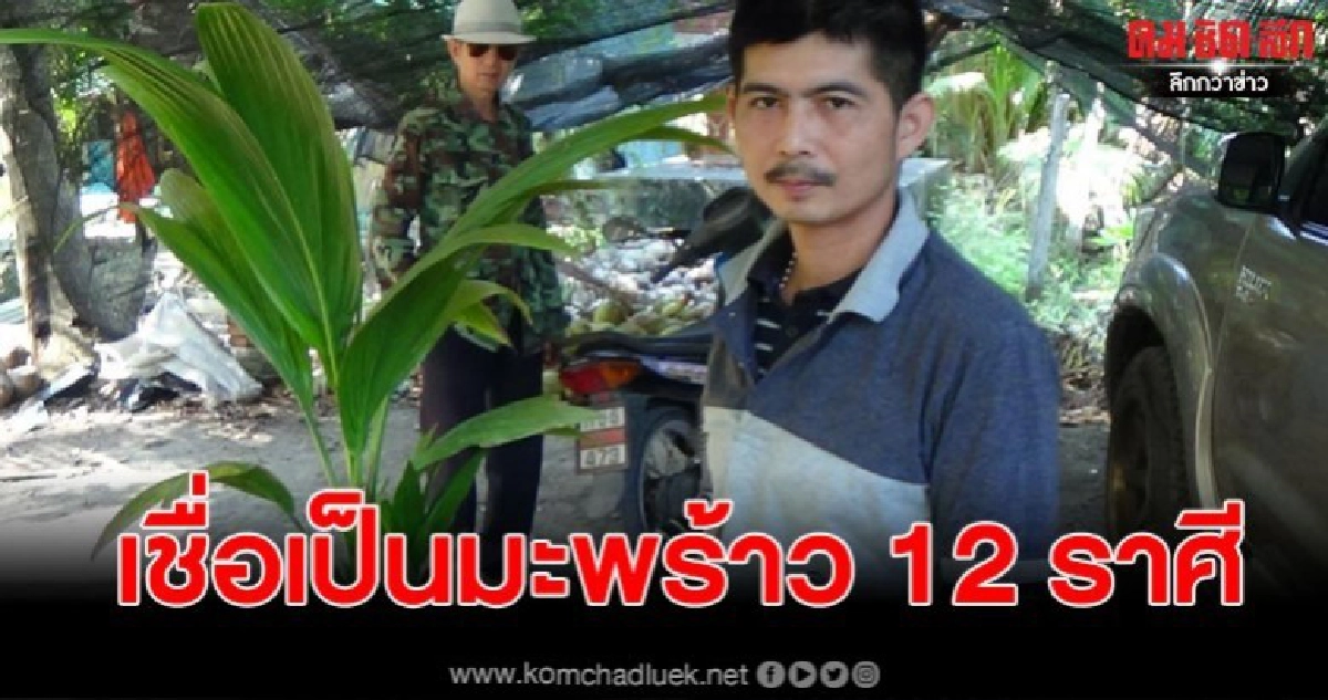 หนุ่มเล่าเจอมะพร้าวแปลก 1 ลูก เชื่อเป็นมะพร้าว 12 ราศี