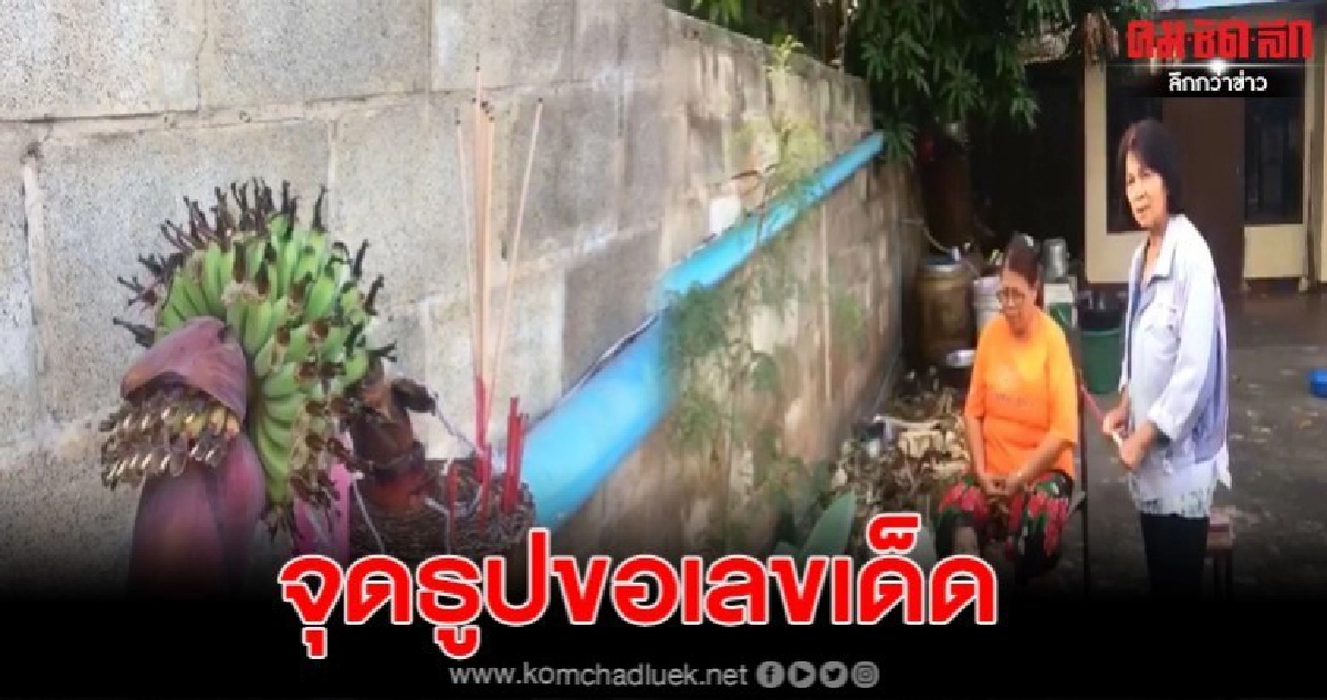 ชาวบ้านส่องเลขเด็ด หลังตัดต้นกล้วยออกแต่ออกลูกมา 6 หวี ชาวบ้านส่องเลขเด็ด หลังตัดต้นกล้วยออกแต่ออกลูกมา 6 หวี