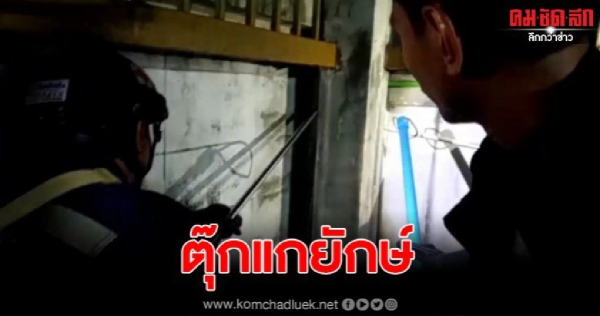 ตกใจหนักมาก จะตากผ้าพบตุ๊กแกตัวใหญ่ถึงกับวิ่งวุ่นกันทั้งบ้าน ตกใจหนักมาก จะตากผ้าพบตุ๊กแกตัวใหญ่ถึงกับวิ่งวุ่นกันทั้งบ้าน