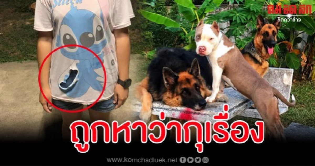 สาวตอบทุกคำถามเคลียร์ดราม่าหาว่าเธอสร้างเรื่องโจรบุกบ้าน สาวตอบทุกคำถามเคลียร์ดราม่าหาว่าเธอสร้างเรื่องโจรบุกบ้าน