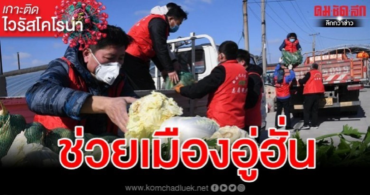 น้ำใจหลั่งไหล ชิงเต่าส่งผักสดช่วยอู่ฮั่นสู้วิกฤตไวรัสโคโรน่า น้ำใจหลั่งไหล ชิงเต่าส่งผักสดช่วยอู่ฮั่นสู้วิกฤตไวรัสโคโรน่า