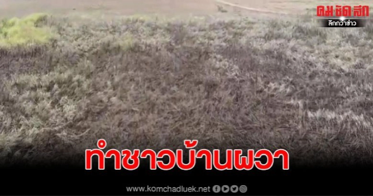 ชาวบ้านถ่ายคลิปไลฟ์สด มีการเผาไร่อ้อยกลัวว่าจะลามมาถึงบ้านตน
