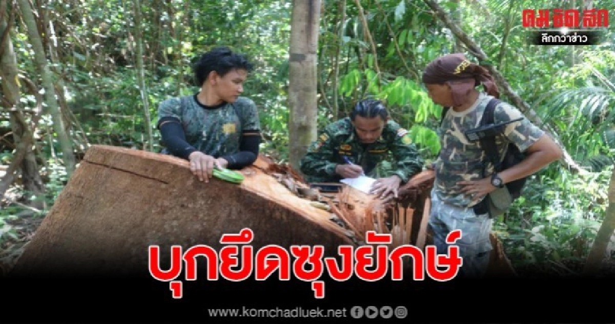 ทหารพร้อมจนท.ป่าไม้ บุกยึกท่อนซุกเทือกเขาศรีสาคร 