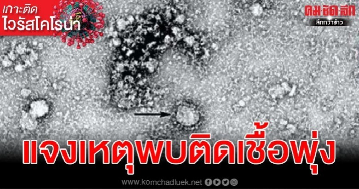 ผู้เชี่ยวชาญจีนแจงต้นเหตุพบผู้ติดเชื้อไวรัสโคโรน่าพุ่งสูง ผู้เชี่ยวชาญจีนแจงต้นเหตุพบผู้ติดเชื้อไวรัสโคโรน่าพุ่งสูง