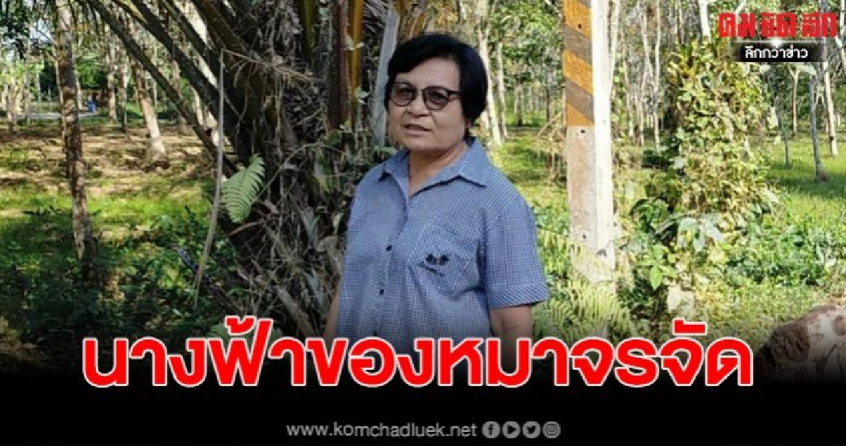 สาวใหญ่ 64 นางฟ้าของสุนัขจร พร้อมเปิดใจ ฟังกันชัดๆ สาวใหญ่ 64 นางฟ้าของสุนัขจร พร้อมเปิดใจ ฟังกันชัดๆ