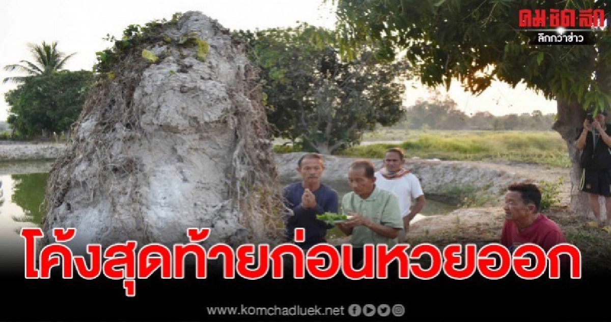 คอหวย แห่บูชาบวงสรวงจอมปลวก พร้อมเสี่ยงโชคหาเลขเด็ด 