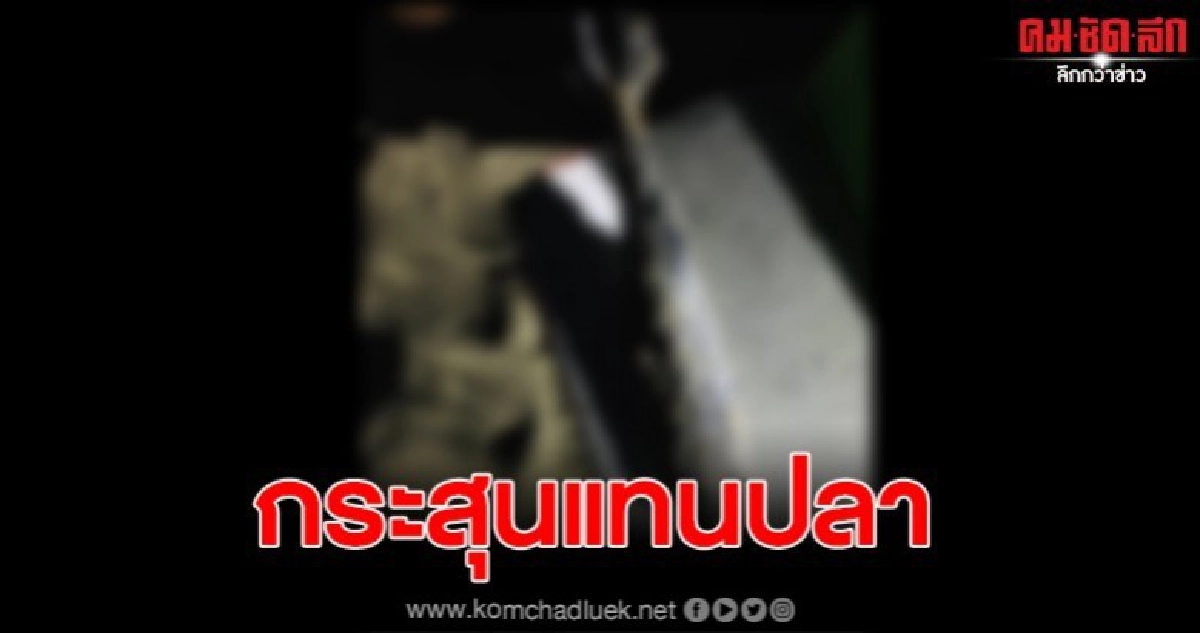 ชาวประมงผวา พบกระสุนปืนคอแทนปลาตัวใหญ่ ชาวประมงผวา พบกระสุนปืนคอแทนปลาตัวใหญ่