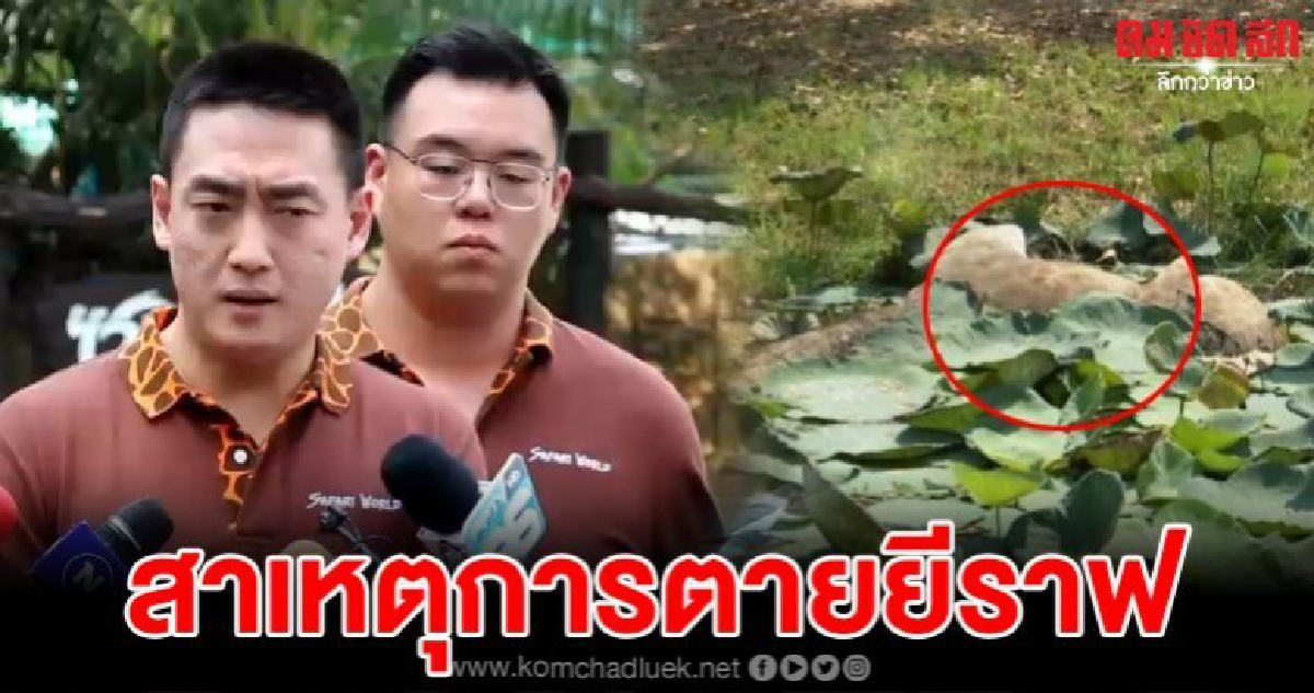 ซาฟารีแจงปมการตายของยีราฟ หลังโซเชียลรุมจวกการขนส่ง
