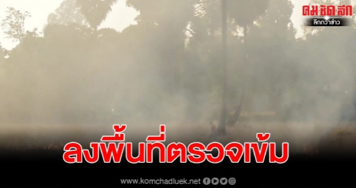 ชาวนาชัยนาทไม่สน PM 2.5 เผาตอซังต่อเนื่อง