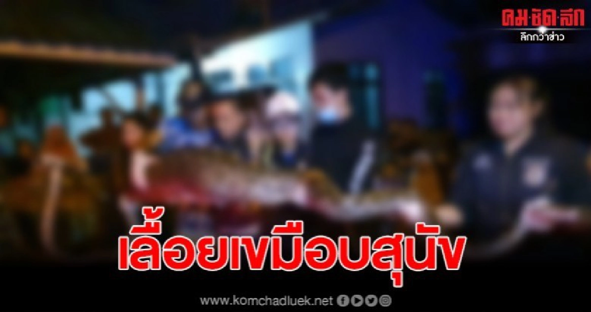 ไอ้เหลือมเหี้ยมสุดหิว เลื้อยระทึกเขมือบสุนัข โร่แจ้ง จนท. ไอ้เหลือมเหี้ยมสุดหิว เลื้อยระทึกเขมือบสุนัข โร่แจ้ง จนท.