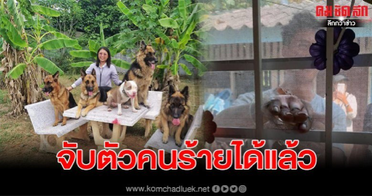 สาวโดนโจรขึ้นบ้านได้หมาช่วยไว้ ล่าสุดจับตัวคนร้ายได้แล้ว