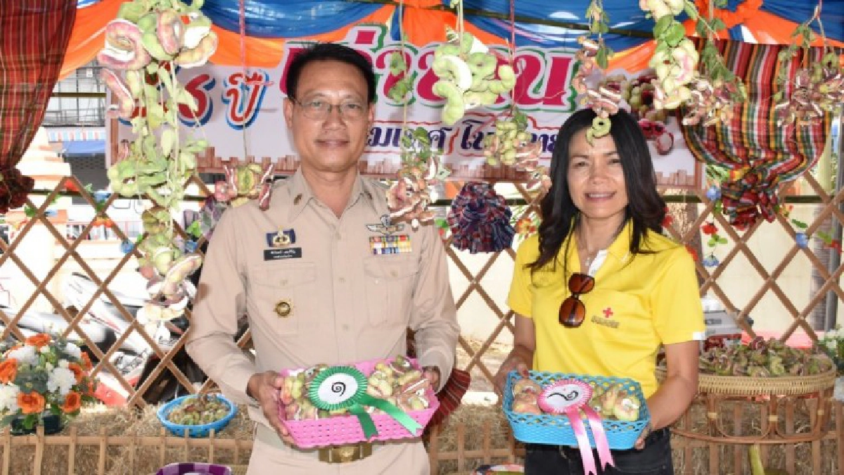  งานเทศกาลวันมะขามเทศ(ยักษ์)  โนนไทย บ้านฉัน @ โคราช บ้านเอง